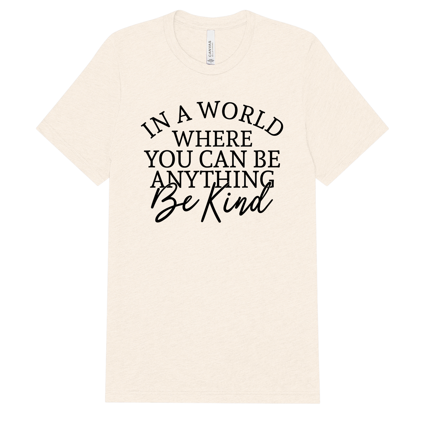 In a World Where You Can Be Anything Adult Tee