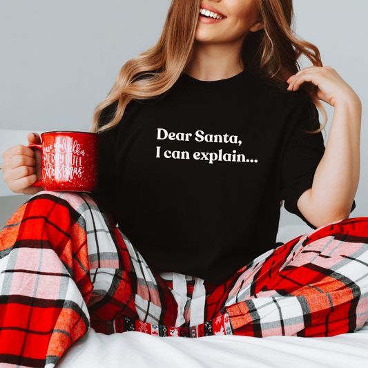 Dear Santa, I Can Explain Tee